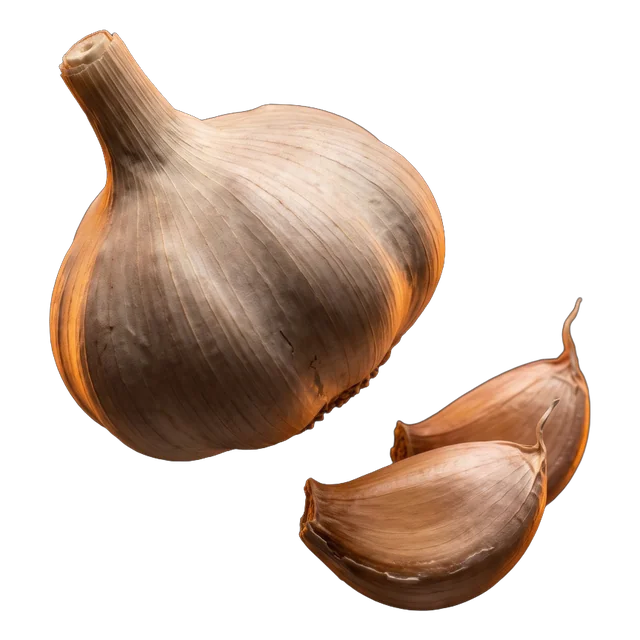 Garlic